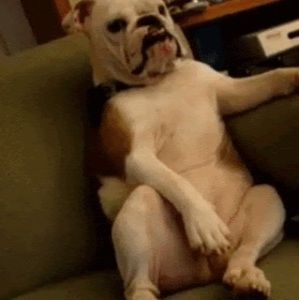 Meet your Posher, Paddy